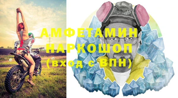 индика Алексин