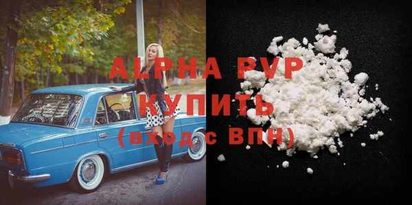 индика Алексин