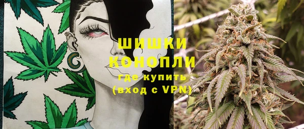 индика Алексин