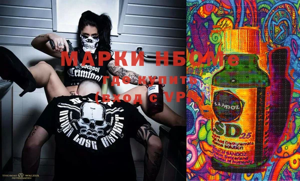 индика Алексин