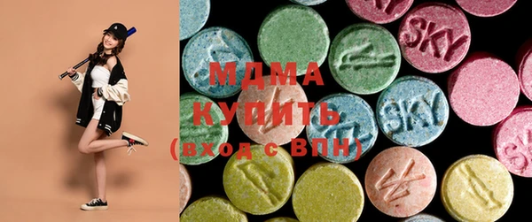 индика Алексин
