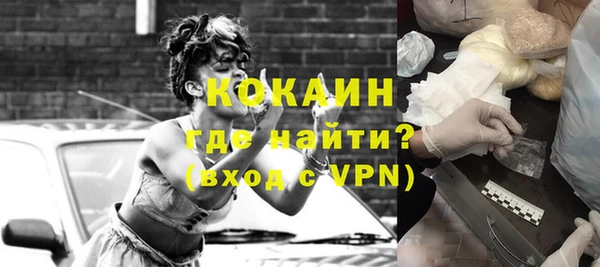 индика Алексин