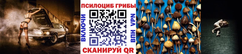 Галлюциногенные грибы Cubensis  купить наркотики цена  Шилка 